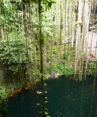 Durch den Dschungel biken im Punta Venado Bike Park